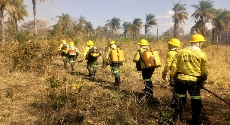Ascema Nacional repudia retirada de brigadistas no combate ao fogo nas florestas