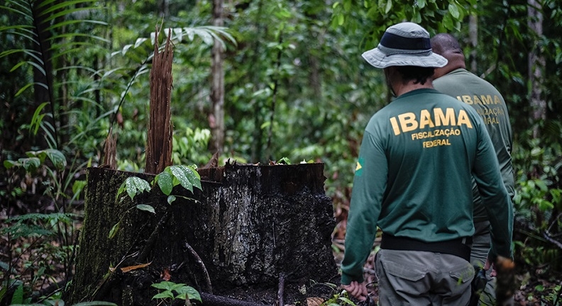 Brasil retoma política ambiental com forte atuação do Ibama