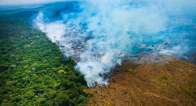 Desmatamento na Amazônia bate recorde, com desmonte do Ibama