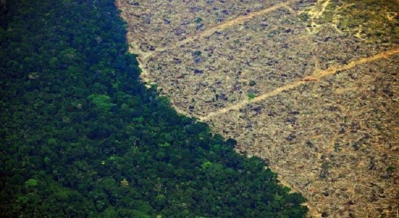 Desmatamento na Amazônia cresce 34% no período de um ano, indicam dados do Inpe