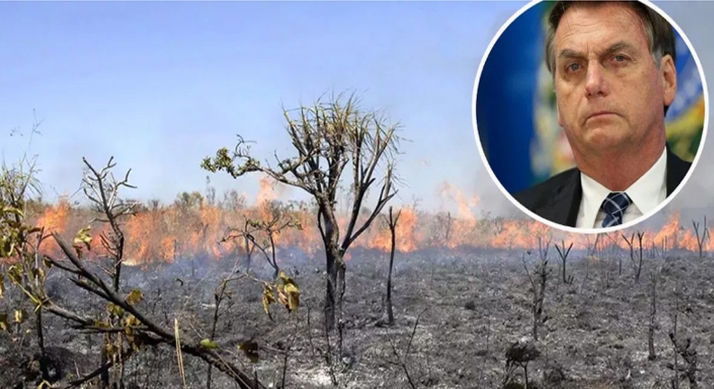Em carta, ONGs condenam acusações de Bolsonaro sobre queimadas na Amazônia