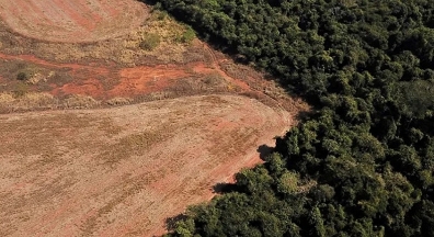 Governo Bolsonaro continua conivente com a destruição do meio ambiente