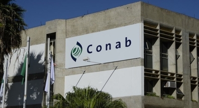 Sintsef-BA realizará assembleia com trabalhadores da Conab